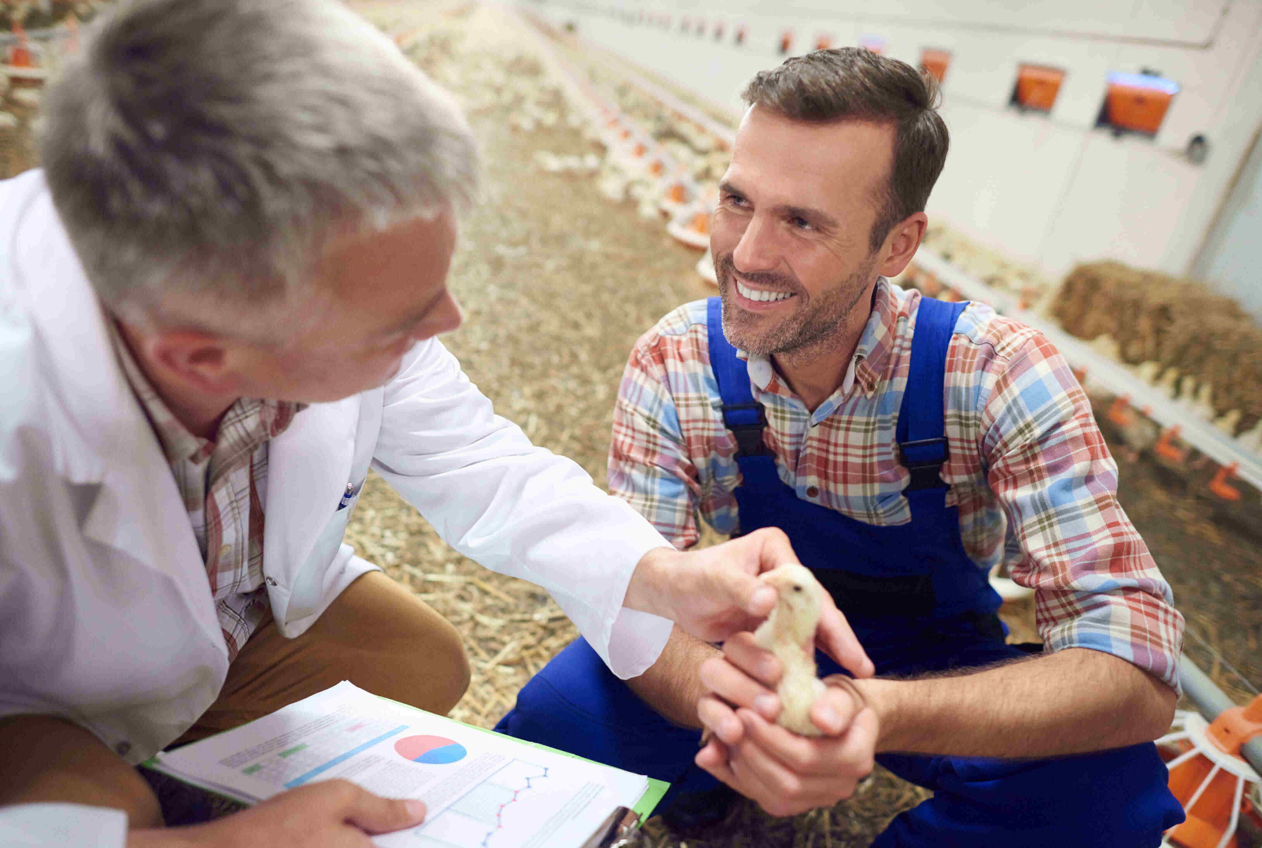 Abustans partner farmer