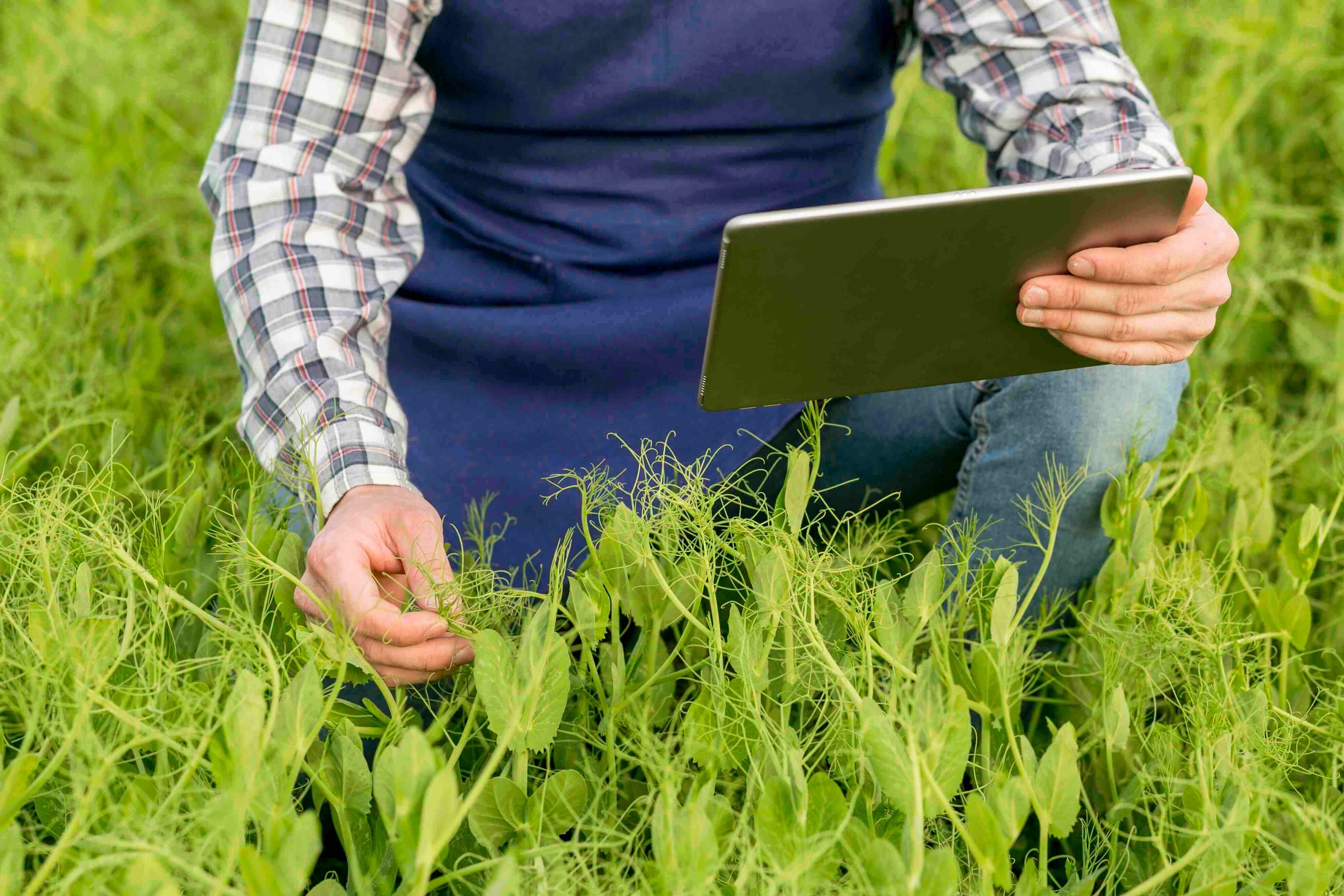 Sustainable farming practices